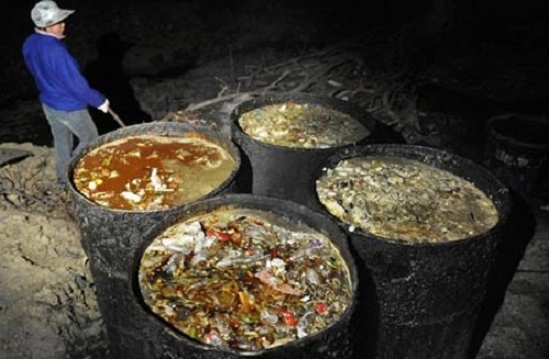 Cục ATTP vào cuộc vụ dầu ăn được tái chế từ váng dầu cống rãnh