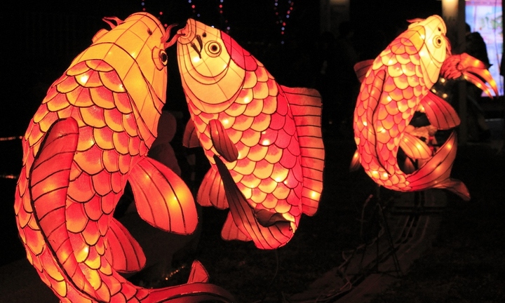 Asia Park- Tưng bừng chuẩn bị con đường đèn lồng kỷ lục