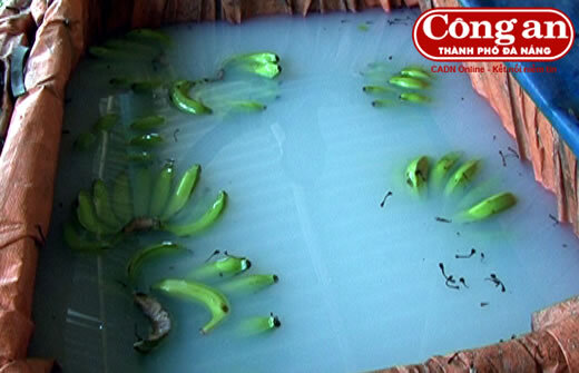 Phát hiện cở sở ngâm chuối bằng hóa chất TQ suốt... 10 năm