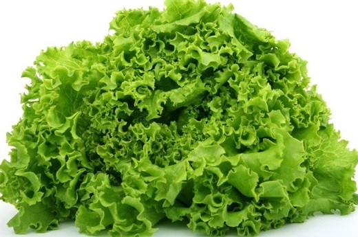 Lợi ích bất ngờ từ rau diếp