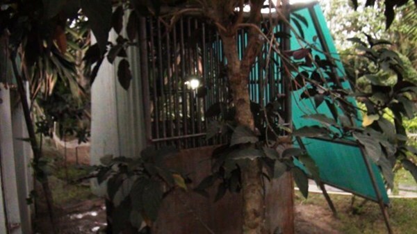 Bé trai 3 tuổi bị gấu cắn đứt lìa cánh tay có thể lắp tay giả