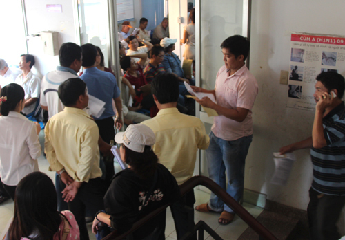 TP.HCM: Triển khai đăng ký đổi giấy phép lái xe qua tổng đài 1081