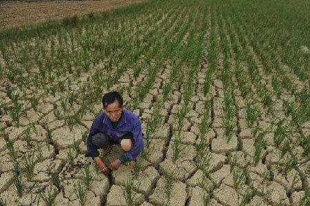 Nhiều vùng ở Việt Nam dự báo sẽ bị hạn hán cực nặng