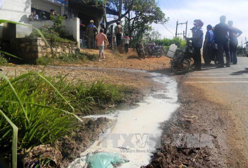 Người chăn nuôi đổ sữa ra đường để phản đối doanh nghiệp