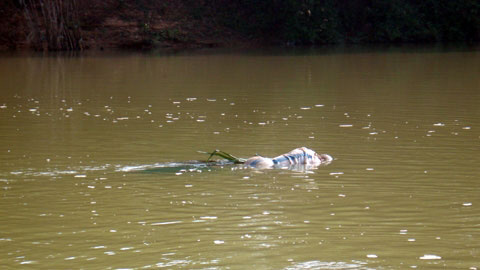 Tá hỏa phát hiện xác cụ bà trôi sông ngày giáp Tết