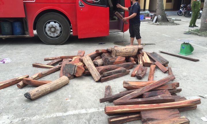 Bắt giữ xe khách Lào vận chuyển 600kg gỗ trắc