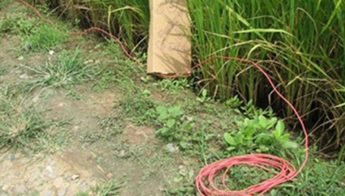 Bẫy điện diệt chuột làm chết người rồi dựng hiện trường giả