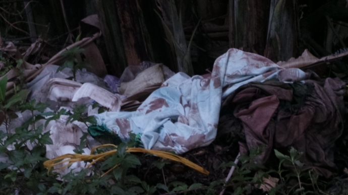 Phát hiện thi thể cô giáo tiểu học cháy xém tại nhà riêng