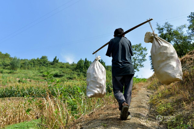 Cảm phục người đàn ông không tay chăm sóc mẹ nằm liệt giường