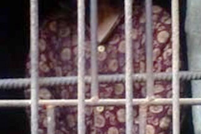 Chàng trai thất tình bị mẹ nhốt trong chuồng gà 13 năm