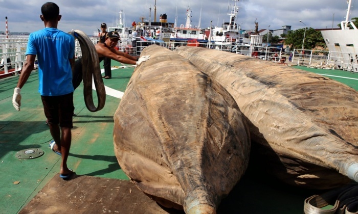 Ngừng tìm kiếm nạn nhân vụ máy bay QZ8501 bị rơi