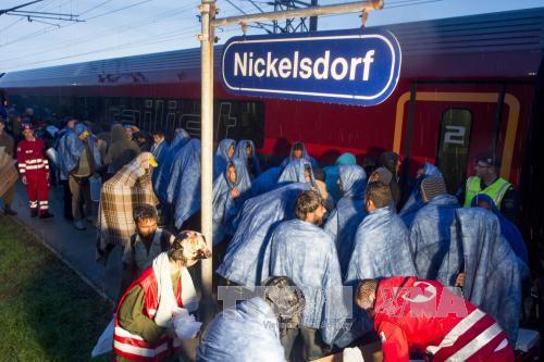 Các nước châu Âu chung tay giải quyết khủng hoảng