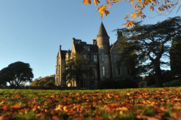 Bí ẩn cây cầu tự sát của loài chó ở Scotland