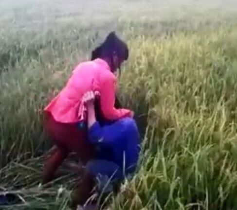 Clip 2 nữ sinh đánh nhau giữa đồng: Hiệu trưởng Trường THPT Hàm Nghi lên tiếng