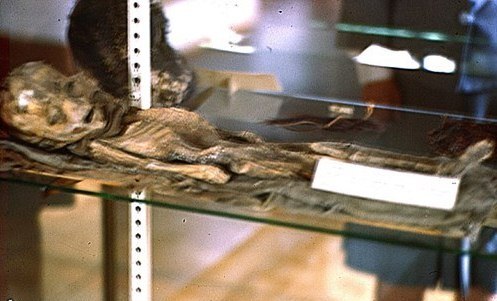 Lộ bằng chứng mới về sự tồn tại của người ngoài hành tinh