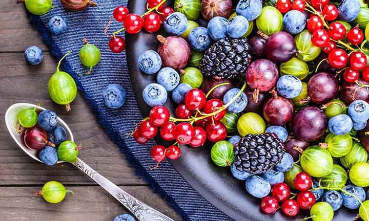 Một số thực phẩm giúp hỗ trợ ngăn ngừa một số bệnh ung thư