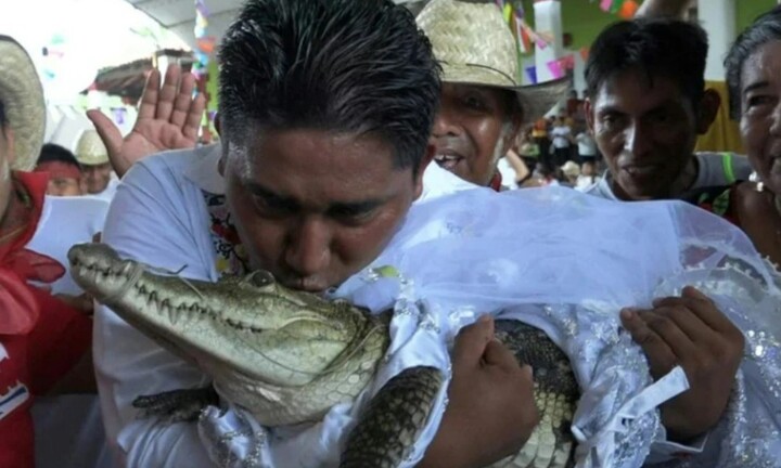 Thị trưởng ở Mexico tổ chức hôn lễ với cá sấu để cầu may