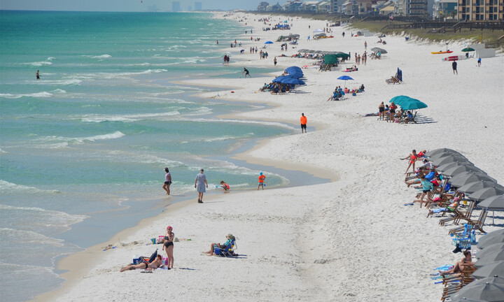 Cá mập tấn công du khách khi đang tắm biển khiến du khách hốt hoảng bỏ chạy 