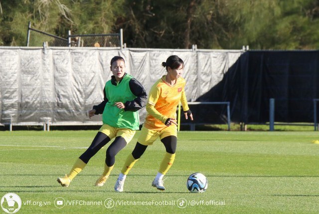 FIFA bố trí chuyên cơ riêng đưa đội tuyển Việt Nam đến Dunedin