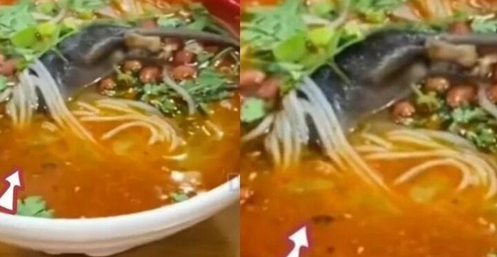 Phát hiện con chuột chết nguyên lông trong bát bún, chủ quán nói lý do khó tin