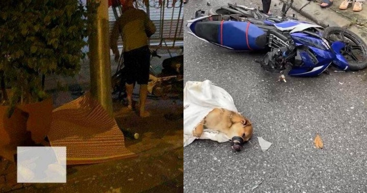 Tin tức tai nạn giao thông mới nhất ngày 25/8: Va chạm ô tô khách trong đêm, nam thanh niên tử vong