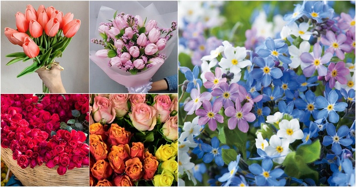 Top 10 loài hoa đẹp, ý nghĩa nhất dành tặng phái đẹp ngày Phụ nữ Việt Nam 20/10