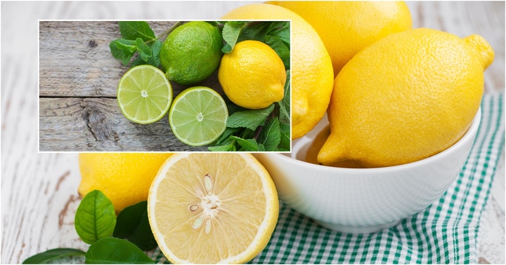 Mẹo vắt chanh nhiều nước mà không bị đắng không phải ai cũng biết