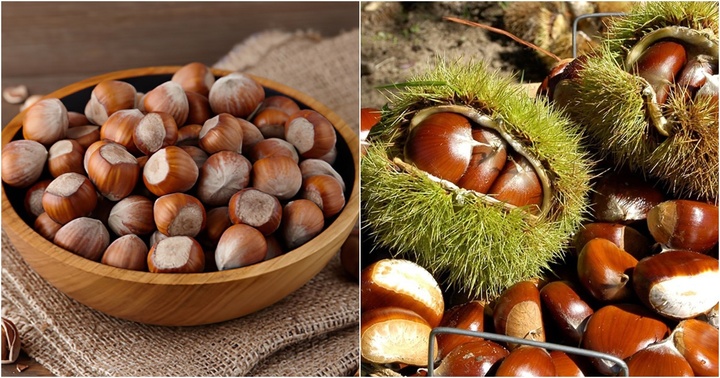 Hạt dẻ là món ăn khoái khẩu của nhiều người nhưng 