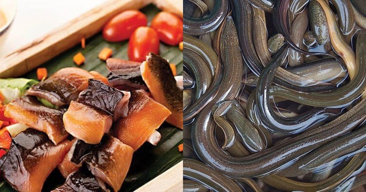 Lươn là thực phẩm không chỉ ngon, bổ dưỡng nhưng lại 