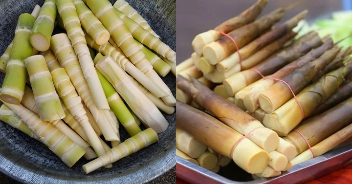 Măng chứa nhiều chất dinh dưỡng tốt cho sức khỏe, điều trị nhiều loại bệnh nhưng 