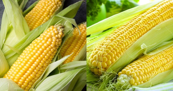 Loại thực phẩm là món khoái khẩu của nhiều người, chứa rất nhiều giá trị dinh dưỡng, có khả năng chống ung thư 