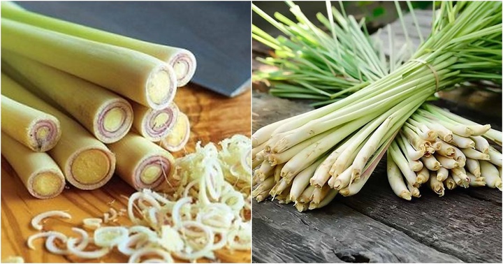 Loại cây rất quen thuộc trong ẩm thực Việt Nam, giúp 