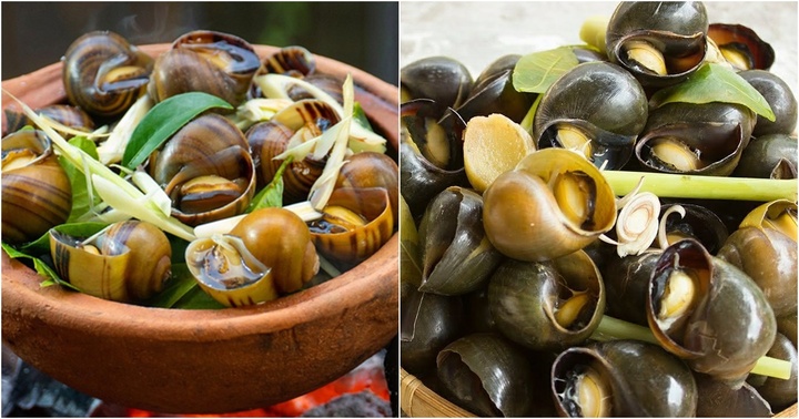Ốc luộc là món ăn yêu thích của nhiều người, nhưng những người sau nên tránh xa kẻo rước thêm bệnh vào người