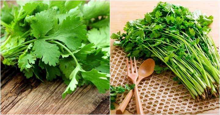 Những người tuyệt đối không nên ăn ray mùi, càng ăn sức khỏe càng suy giảm