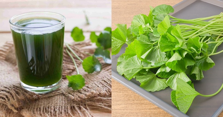 Những người không nên uống nước rau má kẻo mang bệnh vào người