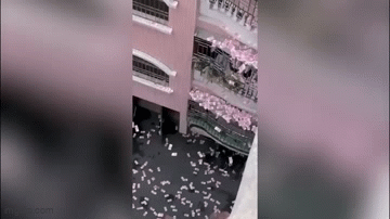 Video:  "Núi tiền " bị ném ra ban công, khiến tiền bay tung tóe khắp chung cư