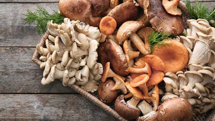 Những lý do bệnh nhân ung thư được khuyên ăn nấm