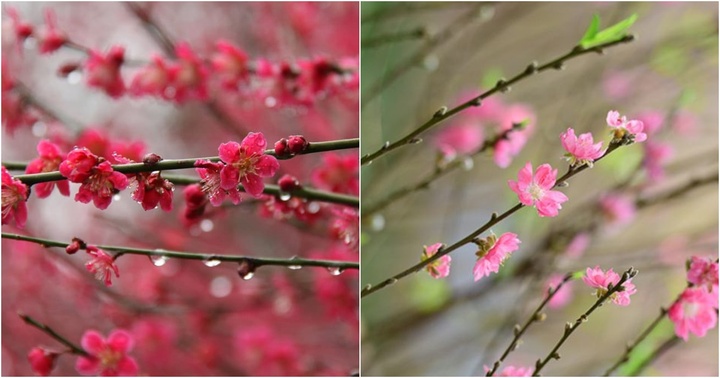 Những lưu ý trong ngày Lập xuân 2024, những việc nên làm và nên tránh để phúc lộc đầy nhà