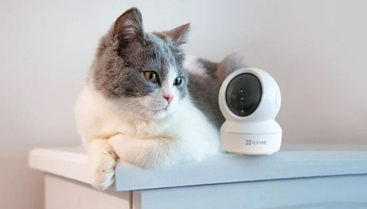 Phát hiện vợ ngoại tình nhờ máy theo dõi thú cưng, sự thật sau đó khiến nhiều người bất ngờ