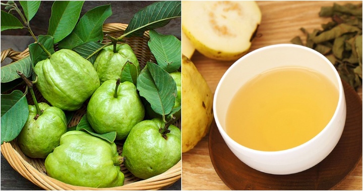 Những người không nên uống trà lá ổi kẻo mang bệnh vào người