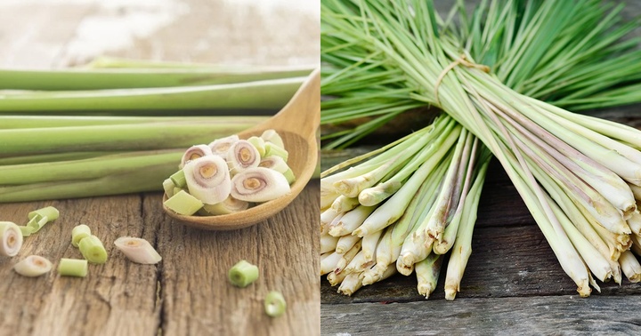 Cây sả cực tốt cho sức khỏe nhưng những người sau không nên sử dụng