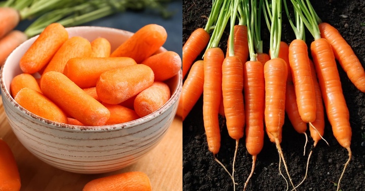 Những người không nên ăn cà rốt kẻo mang bệnh vào người