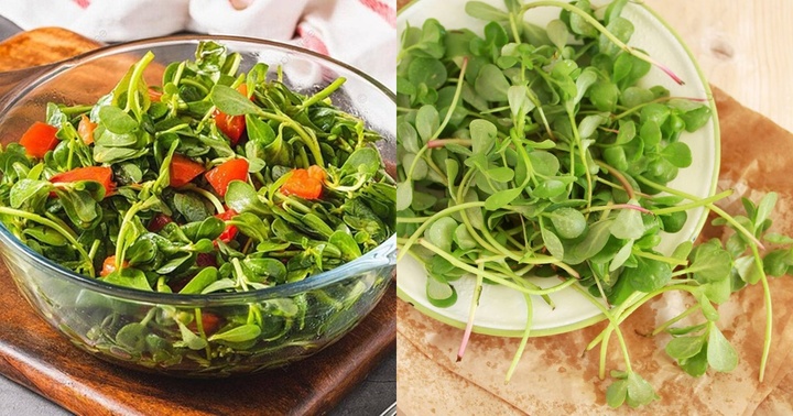 Loại rau mọc dại đầy ở Việt Nam nhưng 