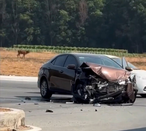 Tin tức tai nạn giao thông mới nhất ngày 25/3: Va chạm xe đầu kéo, một người đàn ông tử vong