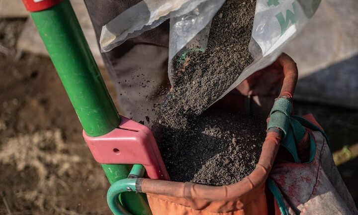 Vật giá leo thang, nông dân Nhật Bản quay về dùng phân bắc trong trồng trọt