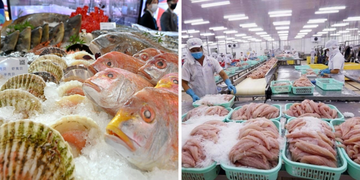Xuất khẩu thủy hải sản Việt Nam biến động ra sao sau lệnh cấm của Trung Quốc với Nhật Bản?
