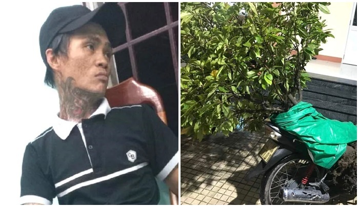 Quá khứ bất hảo của Hải 