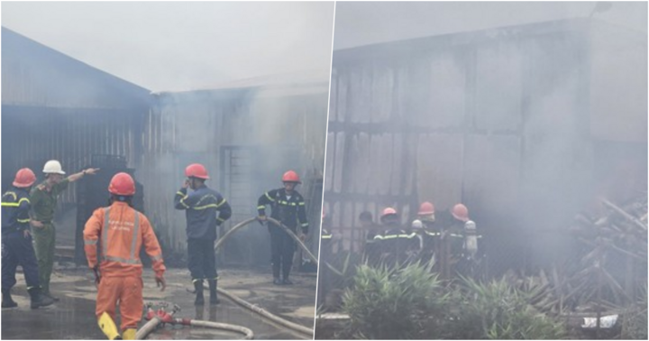 Hỏa hoạn thiêu rụi trang trại nấm rộng hơn 3 hecta ở Lâm Đồng