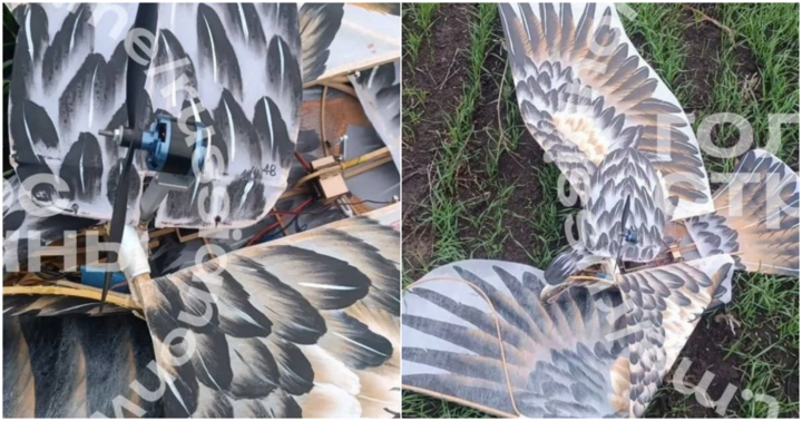 Căng thẳng Nga – Ukraine mới nhất ngày 29/11: Ukraine “phù phép” UAV thành đại bàng để đánh lừa Nga