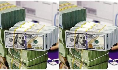 Tỷ giá USD hôm nay 7/12: Bất ngờ đảo chiều tăng nhẹ